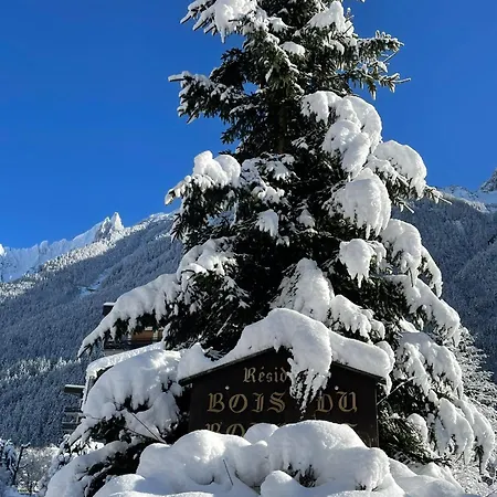 Bois Du Bouchet, Vue Montagne, Calme, Parking Gratuit, Proche Centre Apartment Chamonix